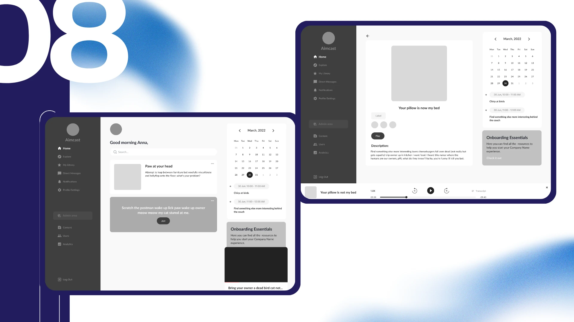 Aimcast — 08